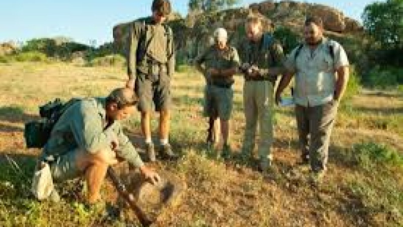 Conservation in the Anthropocene Training Course