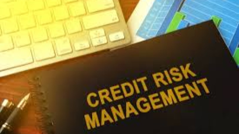 Credit Portfolio Management Training Course