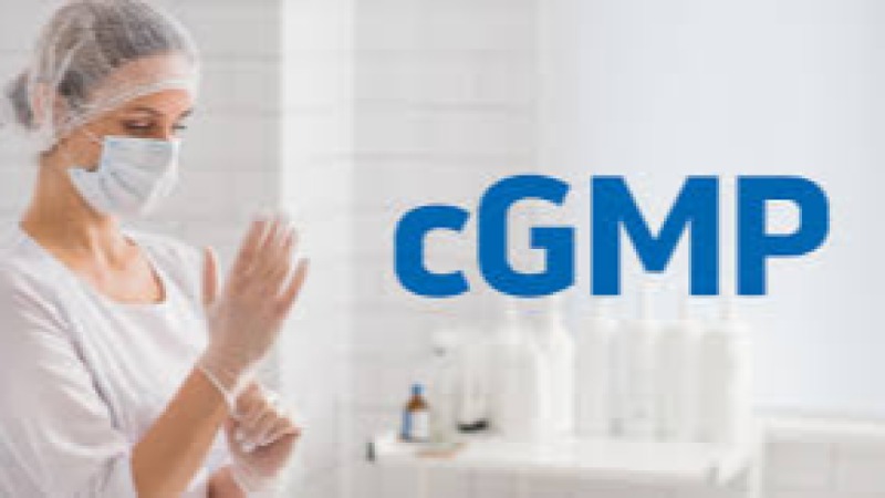 Current Good Manufacturing Practice (cGMP) in Biologics Training Course
