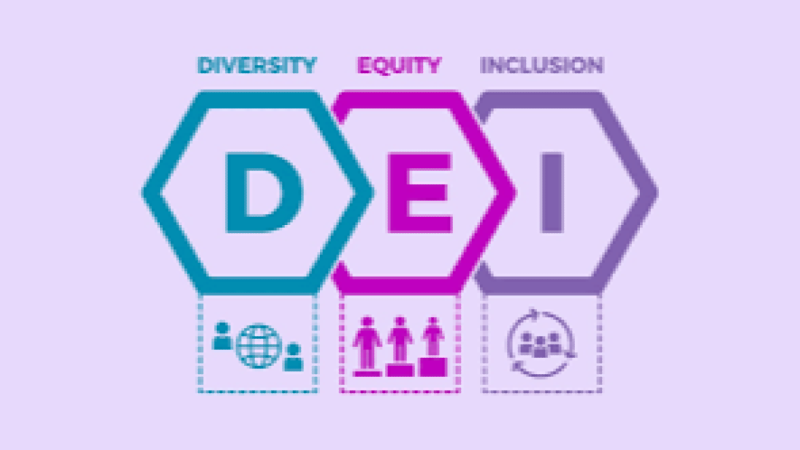 DEI Metrics & Reporting Training Course