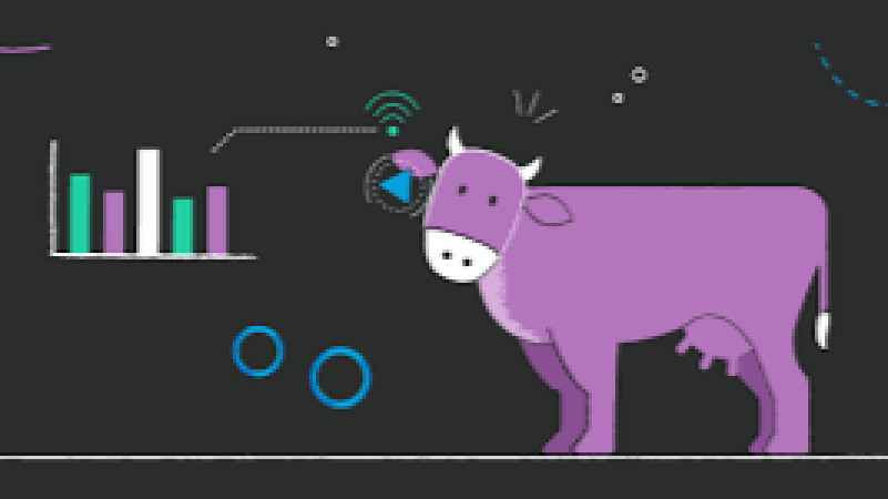 Digital Tools in Livestock Production Training Course