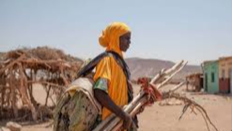 Disaster and Displacement Health Impacts Training Course