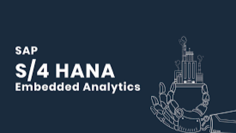 Embedded Analytics in S/4HANA and Oracle ERP Training Course