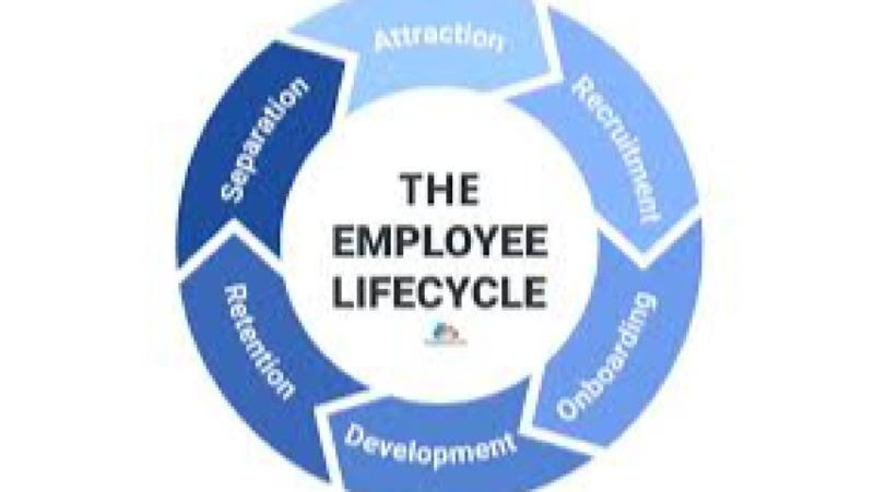 Employee Lifecycle Analytics Training Course