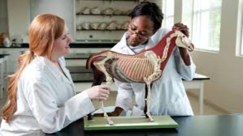 Entrepreneurial Skills for Animal Science Training Course