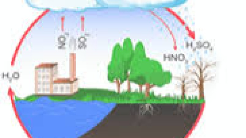 Environmental Health and Ecotoxicology Training Course