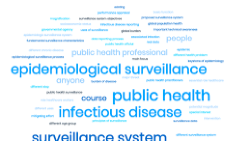 Epidemiological Surveillance Systems Training Course