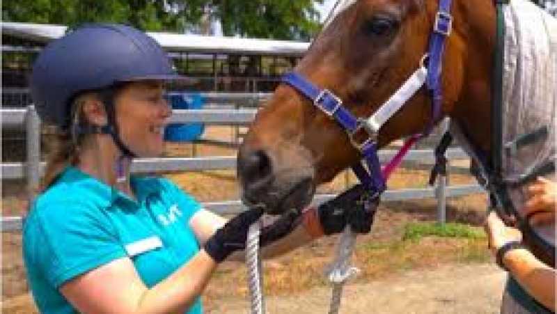 Equine Veterinary Care Basics Training Course