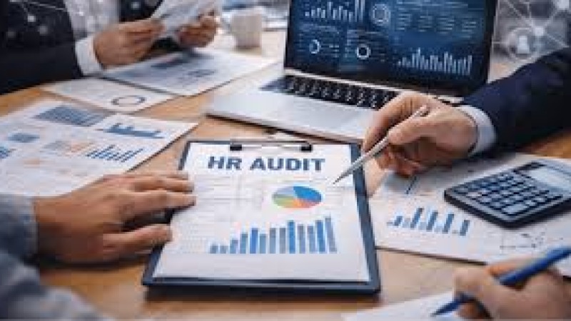 Equity Audits for HR Training Course