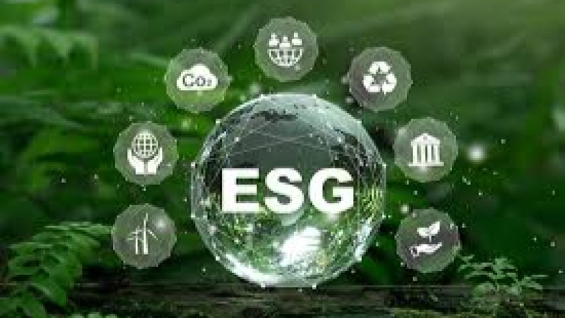ESG and Labour Rights Compliance Training Course