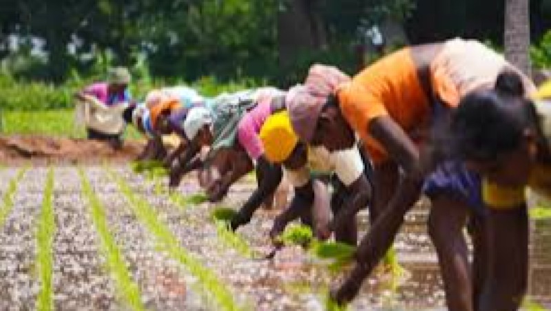 ESG Governance Scorecards Training Course