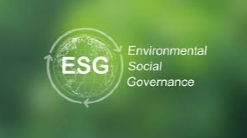 ESG in Manufacturing Strategy Training Course