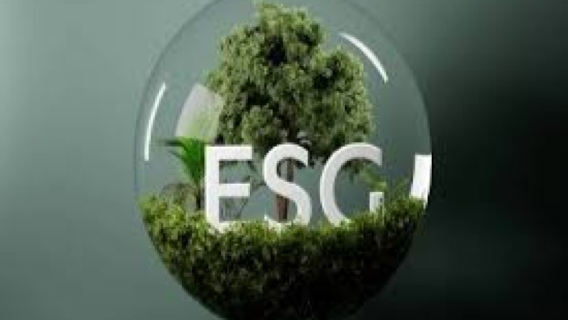 ESG Metrics and Reporting Governance Training Course