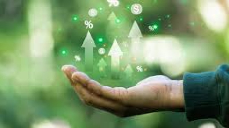 ESG Reporting for Microfinance Institutions Training Course