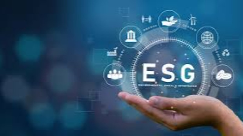 ESG Strategy Governance clinics Training Course