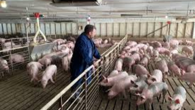 Extensive Livestock Husbandry Training Course