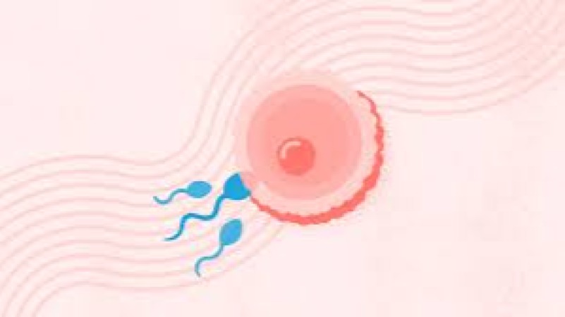 Fertility & Population Health Training Course