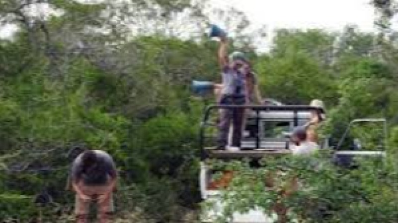 Field Methods in Wildlife Biology Training Course