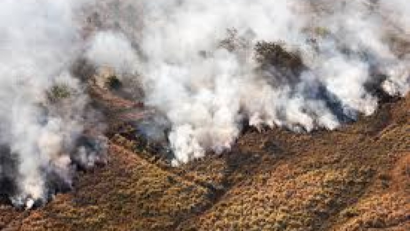Fire Ecology and Prescribed Burning Training Course