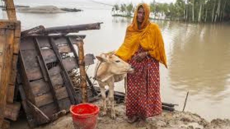 Fiscal Impact of Migration Training Course