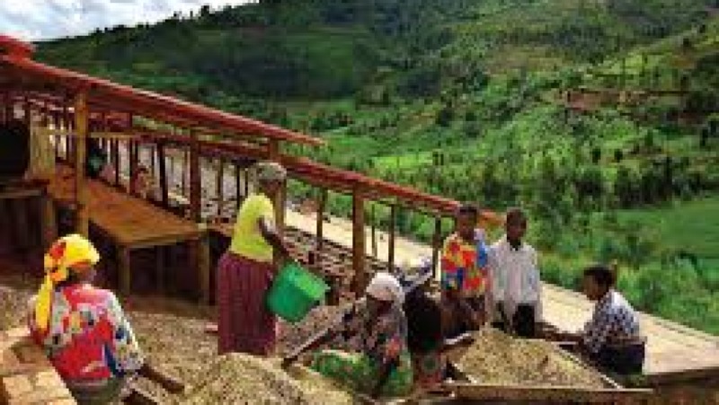 Fiscal Reform in Post-Conflict Economies Training Course