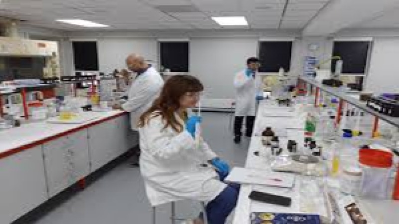 Flavor Chemistry and Application in Food Systems Training Course