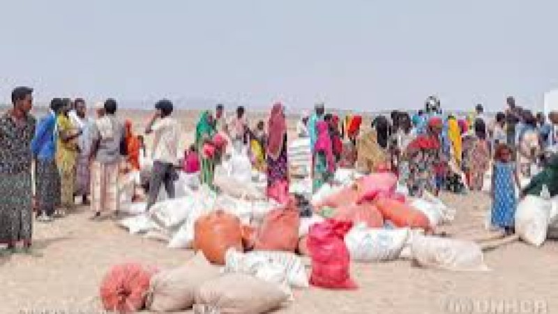 The Refugee Crisis in the Horn of Africa Training Course