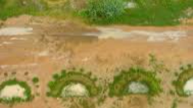 Food System Resilience to Pandemics and Disasters Training Course