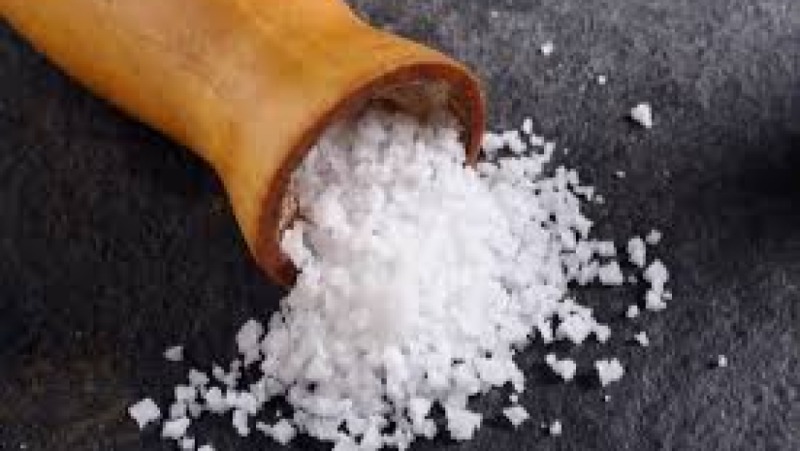 Formulation for Salt and Sodium Reduction Training Course