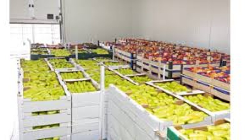 Fruit and Vegetable Processing and Preservation Training Course