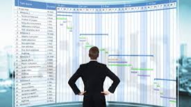 Gantt & Timeline Visualizations in Tools Training Course