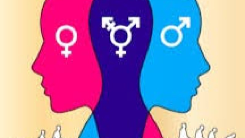 Gender and Arts & Culture Training Course