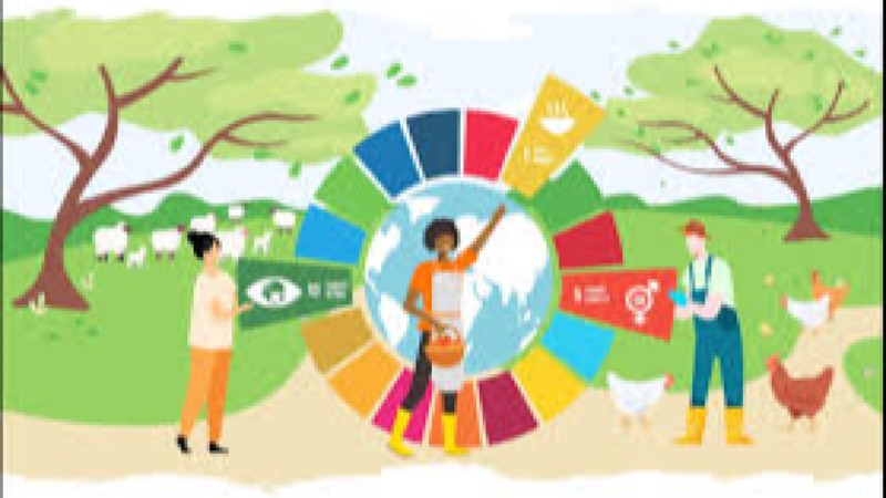 Gender and Green Economy Training Course