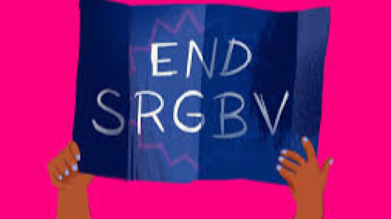 Gender-Based Violence (GBV) & Health Training Course