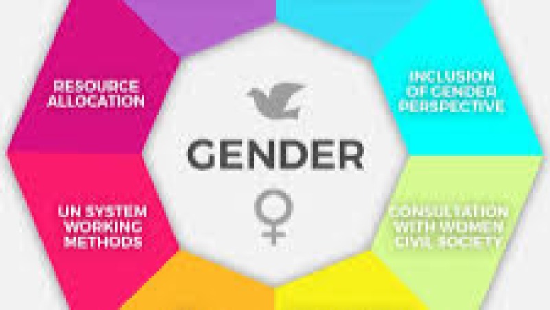 Gender, Conflict, and Peacebuilding Training Course