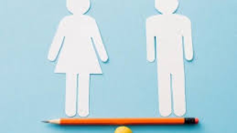 Gender in Higher Education Training Course