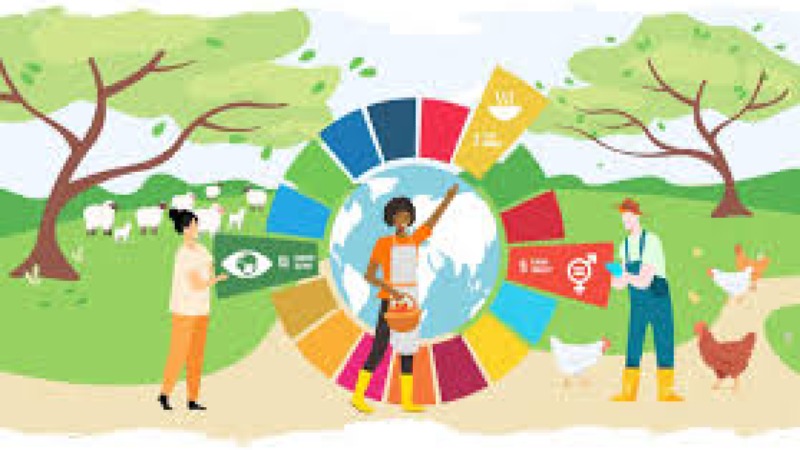 Gender Mainstreaming in Climate Action Training Course