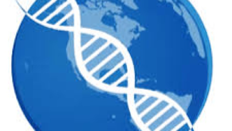 Genetic Epidemiology Training Course