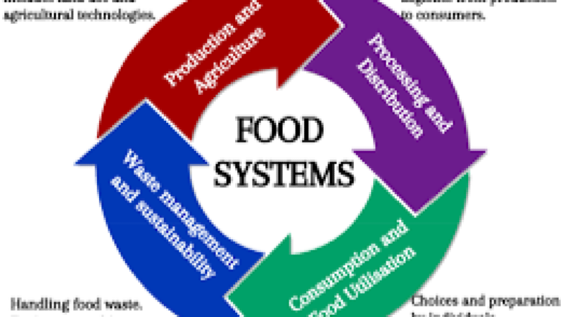 Global Food Systems and Environmental Impacts Training Course