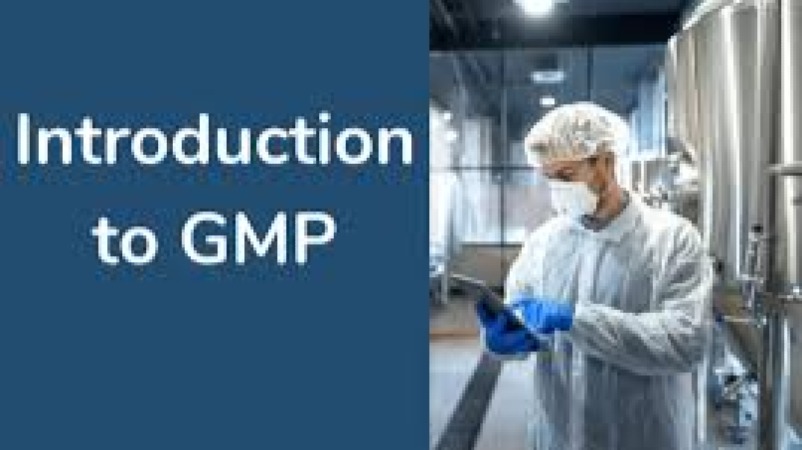 Good Manufacturing Practices (GMP) in Pharmaceuticals Training Course