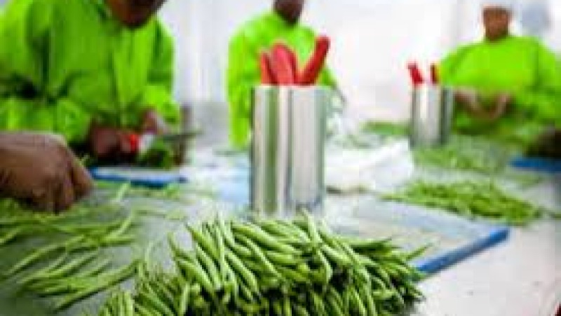 Governance in Agriculture Value Chains Training Course