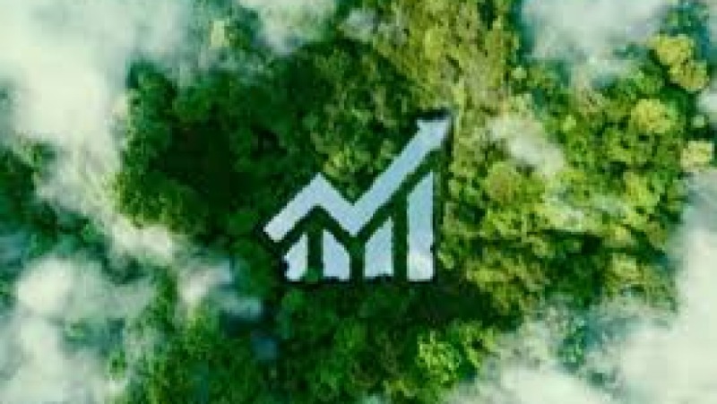 Green Microfinance: Financing Environmental Projects Training Course