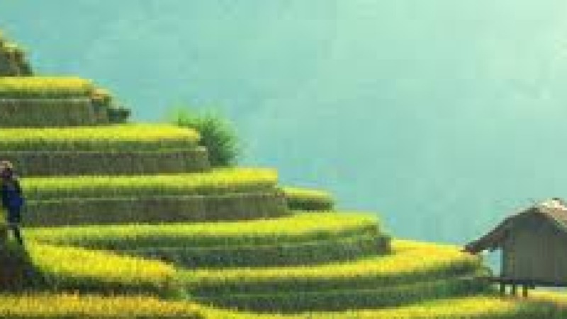 Green Recovery and Stimulus Packages Training Course