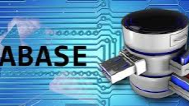 HR Database Management Training Course