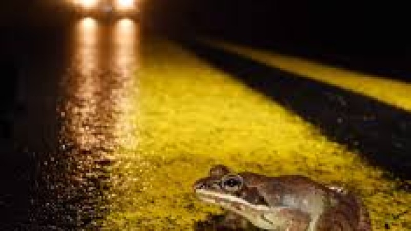 Human Dimensions of Wildlife Training course