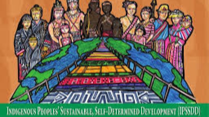 Indigenous Peoples' Rights and Self-Determination Training Course