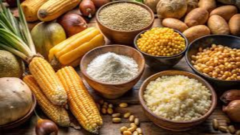 Industrial Starch Processing Training Course