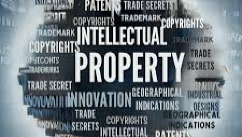 Intellectual Property (IP) Law in Biotechnology Training Course