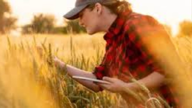 Internal Auditor Training for ISO 22000:2018 Training Course