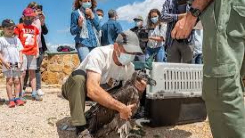 International Conservation Agreements Training Course